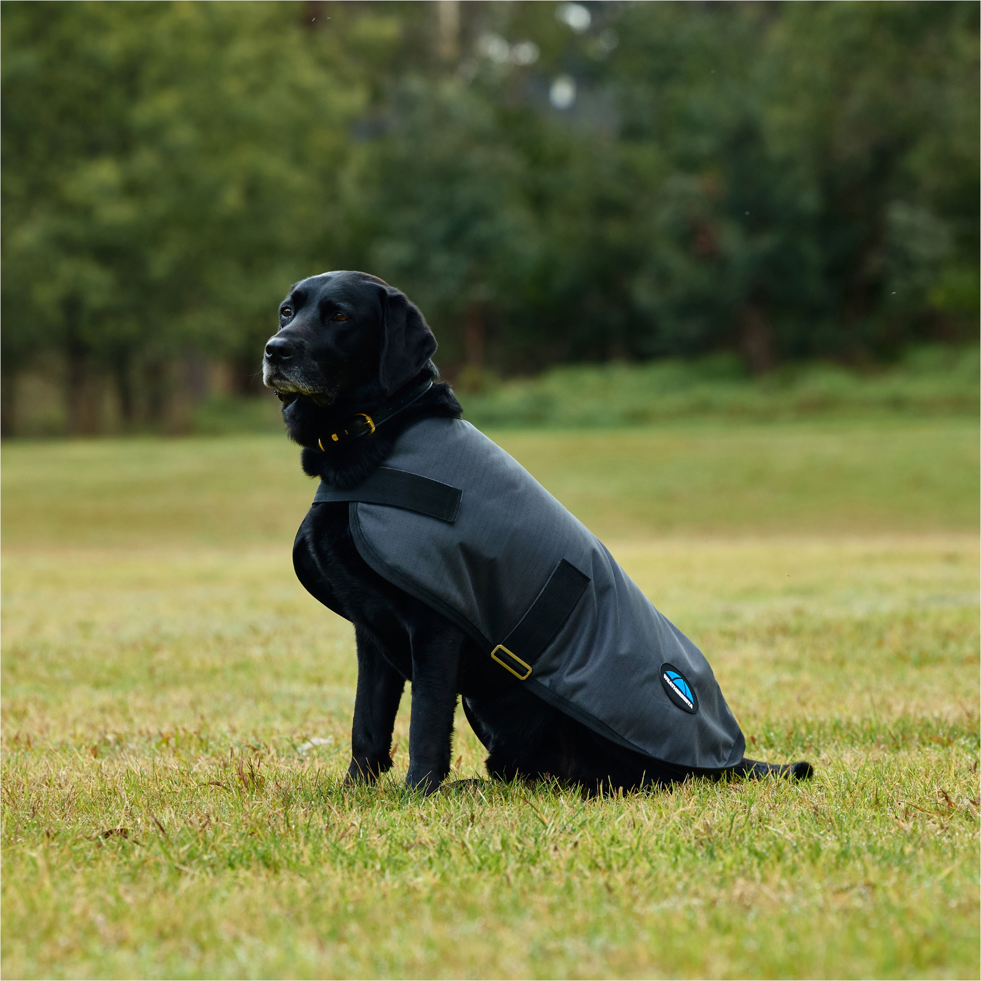 2025 Weatherbeeta Comfitec Classic Waterproof Dog Coat 1029048 - Charcoal